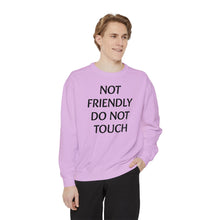 Load image into Gallery viewer, Not Friendly