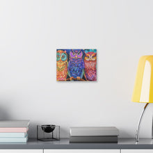 Load image into Gallery viewer, Colorful Owls