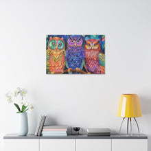 Load image into Gallery viewer, Colorful Owls
