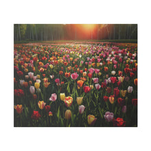 Load image into Gallery viewer, Tulips