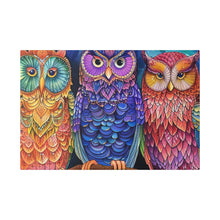 Load image into Gallery viewer, Colorful Owls
