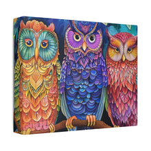 Load image into Gallery viewer, Colorful Owls
