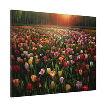 Load image into Gallery viewer, Tulips