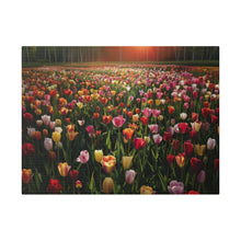 Load image into Gallery viewer, Tulips