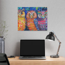 Load image into Gallery viewer, Colorful Owls