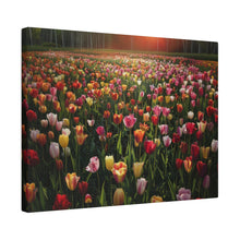 Load image into Gallery viewer, Tulips