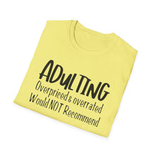 Load image into Gallery viewer, Adulting