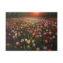 Load image into Gallery viewer, Tulips