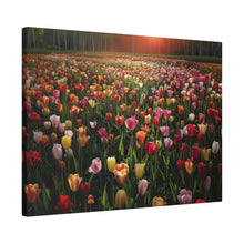 Load image into Gallery viewer, Tulips