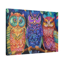 Load image into Gallery viewer, Colorful Owls
