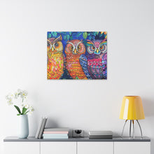 Load image into Gallery viewer, Colorful Owls