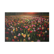 Load image into Gallery viewer, Tulips
