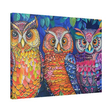 Load image into Gallery viewer, Colorful Owls