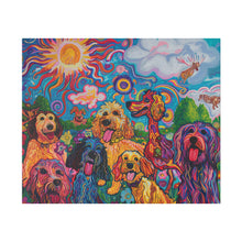 Load image into Gallery viewer, Doodles at Play