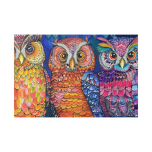 Load image into Gallery viewer, Colorful Owls