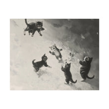 Load image into Gallery viewer, Cats at Play