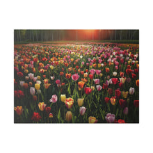 Load image into Gallery viewer, Tulips