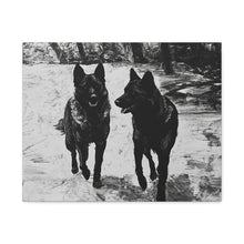 Load image into Gallery viewer, German Shephard Canvas Art