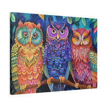Load image into Gallery viewer, Colorful Owls