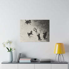 Load image into Gallery viewer, Cats at Play