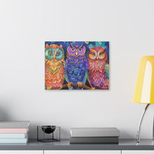 Load image into Gallery viewer, Colorful Owls