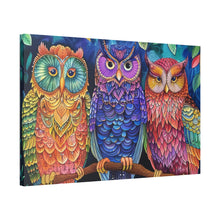 Load image into Gallery viewer, Colorful Owls
