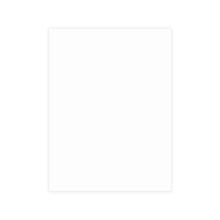Load image into Gallery viewer, Cats at Play Postcard Bundles (envelopes included)