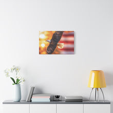 Load image into Gallery viewer, Eagle in Flight Canvas Art - 12x12 Stretched Wall Decor