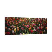 Load image into Gallery viewer, Tulips