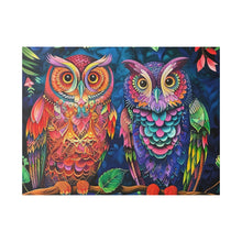 Load image into Gallery viewer, Colorful Owls