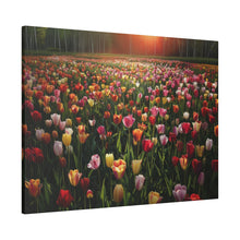 Load image into Gallery viewer, Tulips