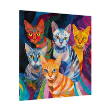 Load image into Gallery viewer, Colorful Cat