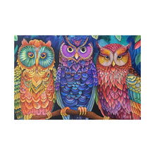 Load image into Gallery viewer, Colorful Owls