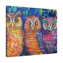 Load image into Gallery viewer, Colorful Owls