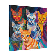 Load image into Gallery viewer, Colorful Cat