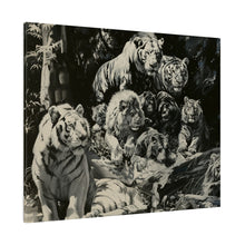 Load image into Gallery viewer, Lions & Tigers