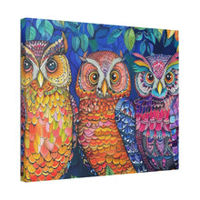 Load image into Gallery viewer, Colorful Owls