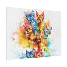 Load image into Gallery viewer, Colorful Cat