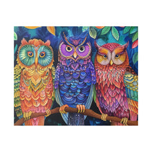 Load image into Gallery viewer, Colorful Owls