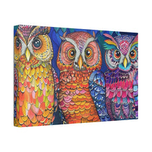Load image into Gallery viewer, Colorful Owls
