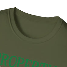 Load image into Gallery viewer, Unisex Softstyle T-Shirt - Juneteenth

