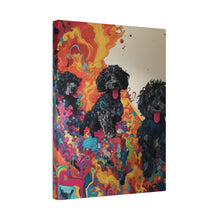 Load image into Gallery viewer, Doodles at Play
