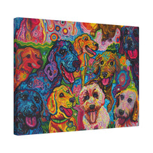 Load image into Gallery viewer, Doodles at Play
