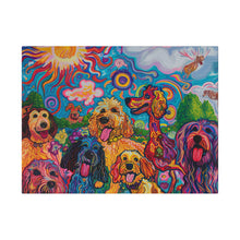 Load image into Gallery viewer, Doodles at Play
