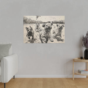 Dogs at Play