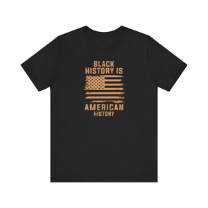 Black History is American History Tee