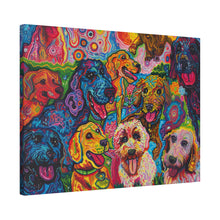 Load image into Gallery viewer, Doodles at Play
