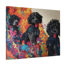 Load image into Gallery viewer, Doodles at Play
