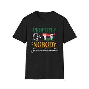 Unisex Softstyle T-Shirt - Juneteenth