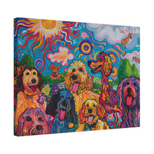 Load image into Gallery viewer, Doodles at Play
